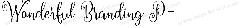 Wonderful Branding P字体转换